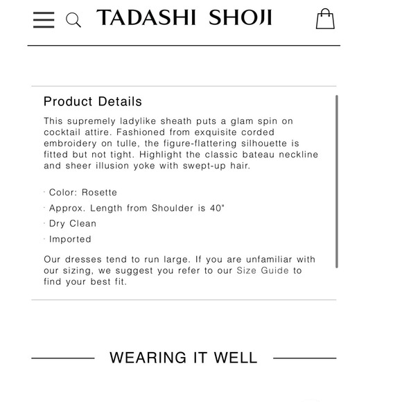 Tadashi Shoji Mendy Rosette Embroidered Tulle Sheath Dress Size 4 - Picture 7 of 8